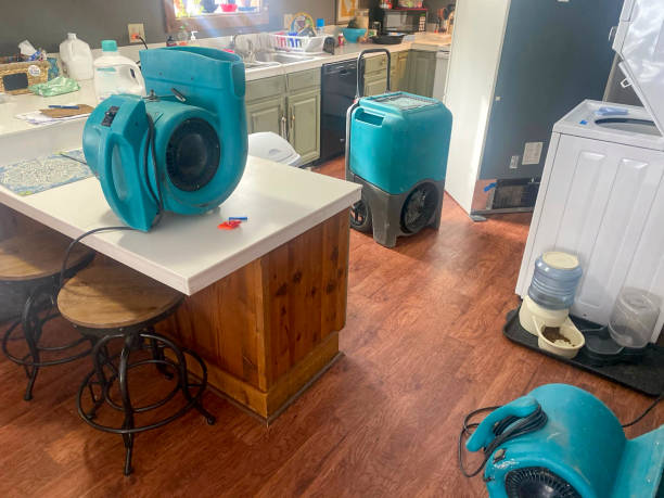 Best Emergency water extraction  in Yorktown, TX