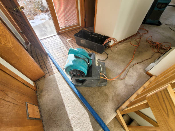 Best 24/7 water damage repair  in Yorktown, TX