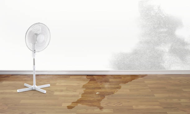 Best Flood damage cleanup  in Yorktown, TX