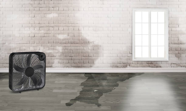 Trusted Yorktown, TX Water damage restoration Experts