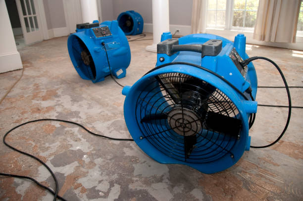 Best 24-hour water damage restoration  in Yorktown, TX