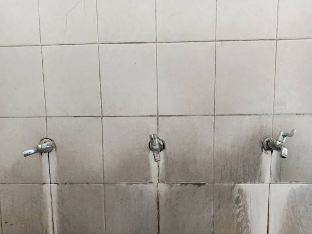 Best Emergency water extraction  in Yorktown, TX