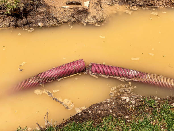 Best Sewage cleanup and water damage restoration  in Yorktown, TX
